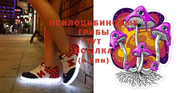 СК Балахна