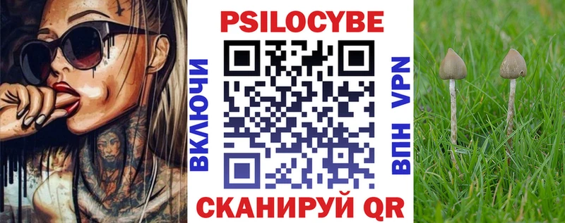 shop как зайти  купить закладку  Гаврилов-Ям  Галлюциногенные грибы прущие грибы 